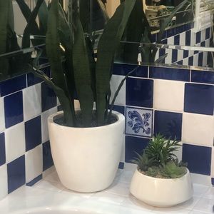 Meet your Posher, Judy